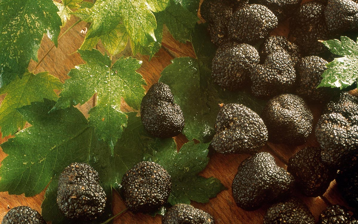 perigord---truffes